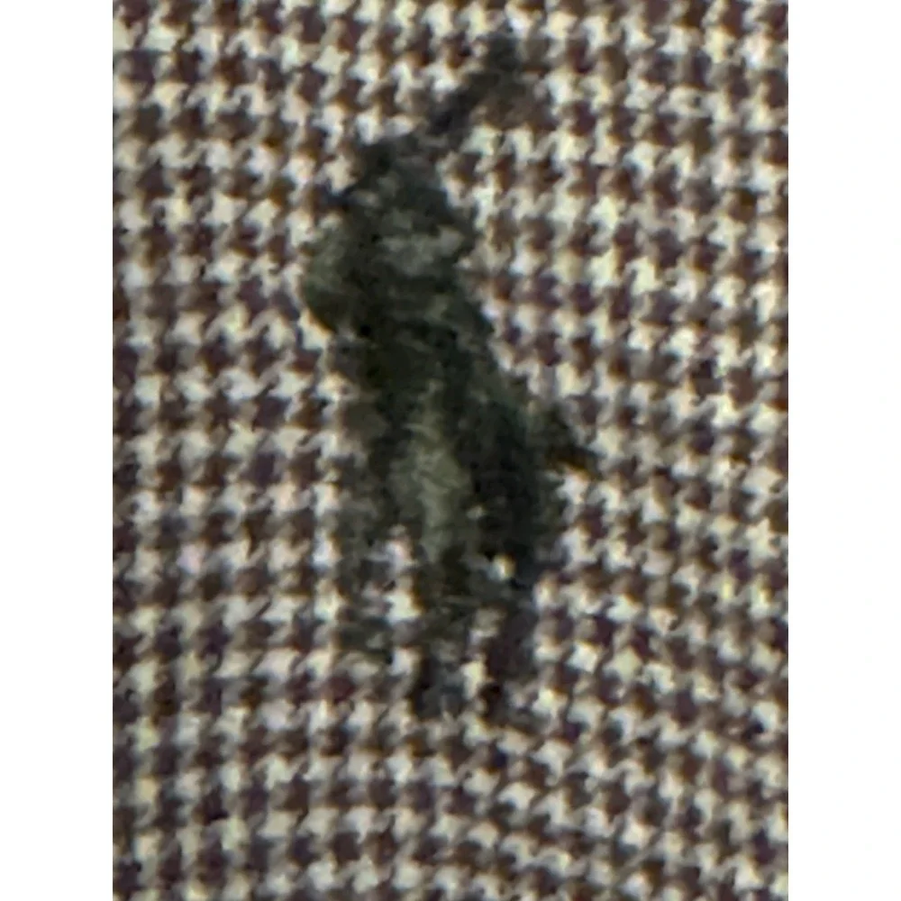 Polo Ralph Lauren 3XB Gingham Micro Check Long Sleeve Brown Button Down (C)